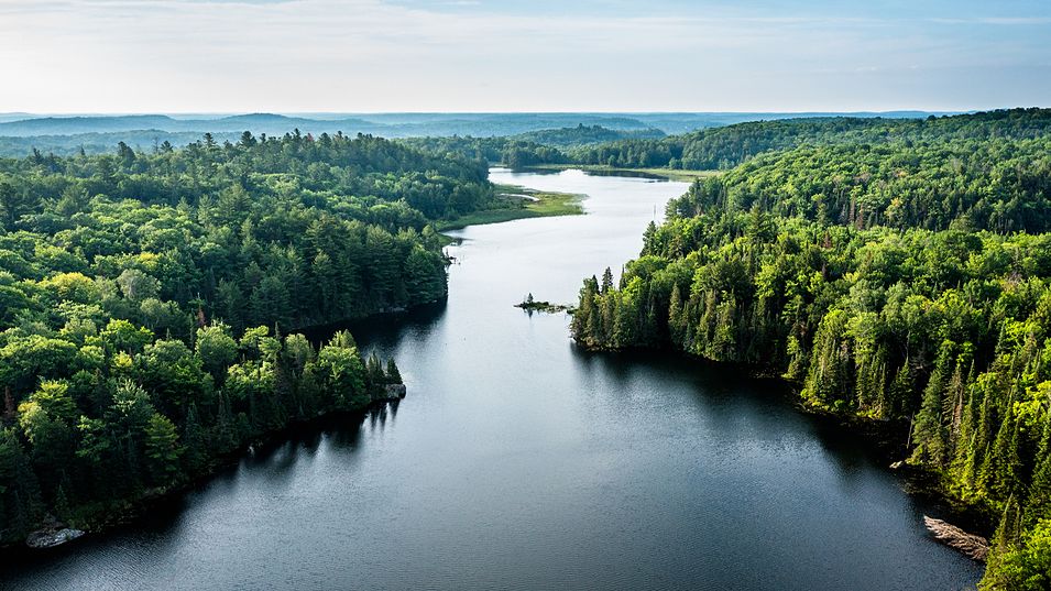 Aerial view of a lake and forest in the morning with mist over the forest in the distant horizon.